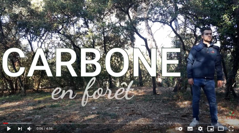 Label Bas-Carbone en forêt