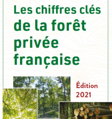 Les chiffres clés de la forêt privée