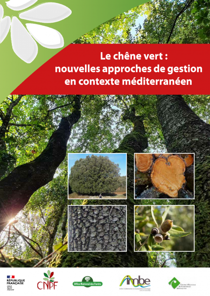 Le chêne vert : nouvelles approches de gestion en contexte méditerranéen