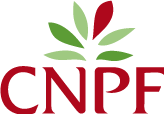 logo cnpf 2022