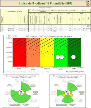 IBP Excel® spreadsheet