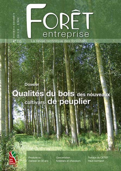 Forêt-entreprise n°213 couv