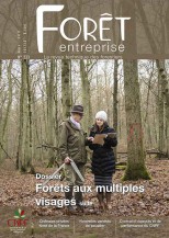 Forêt-entreprise n°233 couv