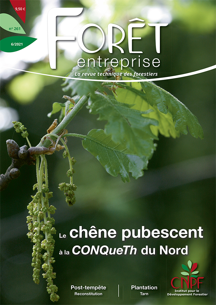 Forêt-entreprise n°261 couv