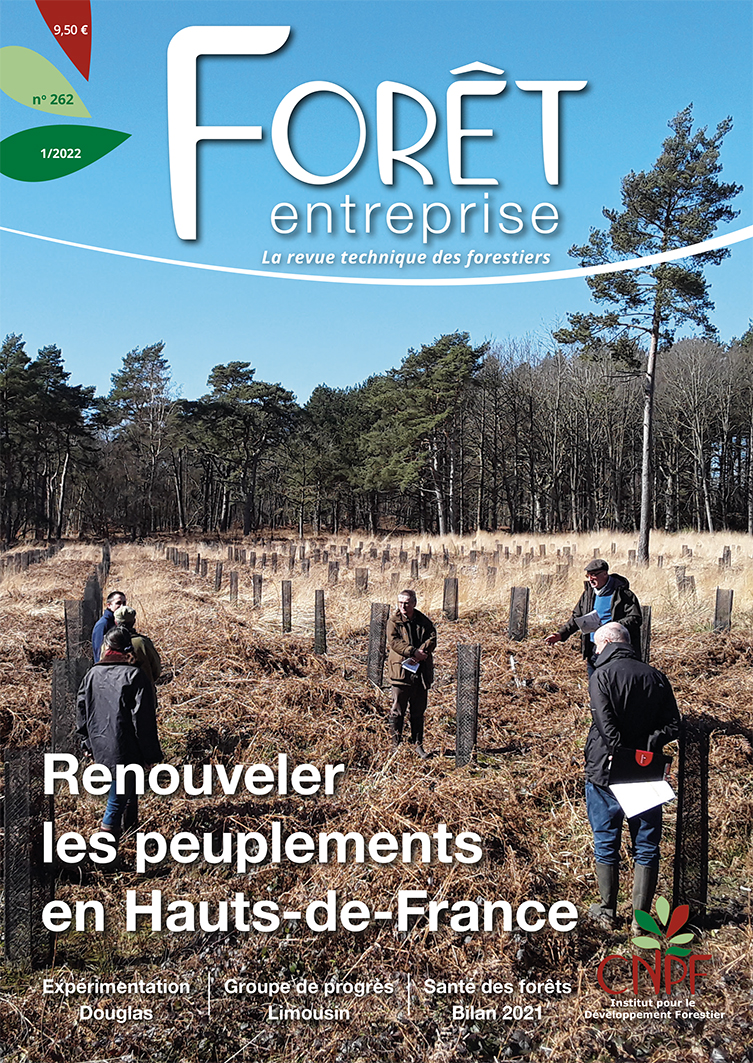 Forêt-entreprise n°262 couv