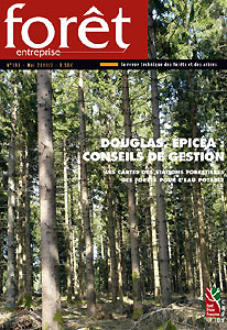 Forêt-entreprise n°198 couv