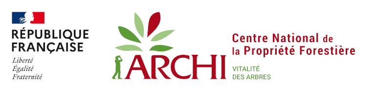 Logo ARCHI