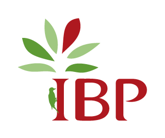 logo IBP
