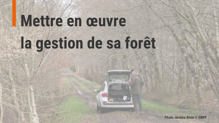 Mettre en oeuvre la gestion de sa forêt
