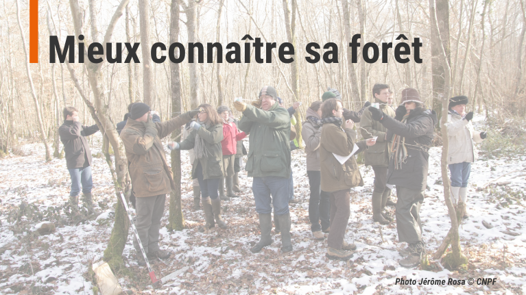 Mieux connaître sa forêt