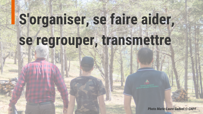 S'organiser, se faire aider, se regrouper, transmettre