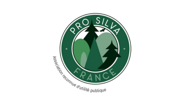 Logo Pro Silva