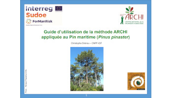 Guide ARCHI pin maritime