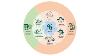 Diagramme du fonctionnement de BioClimSol - Benjamin Cano © CNPF