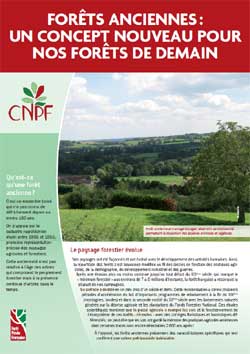 Couverture Forêts anciennes : un concept nouveau pour nos forêts de demain