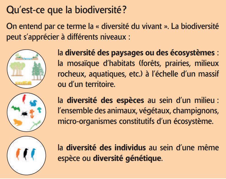 Qu'est-ce que la biodiversité ?