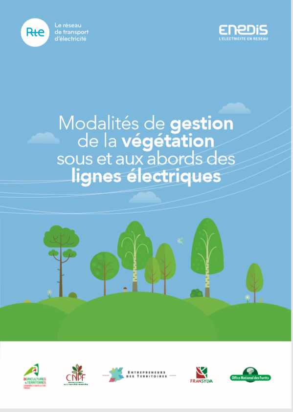 Modalités de gestion de la végétation sous et aux abords des lignes électriques