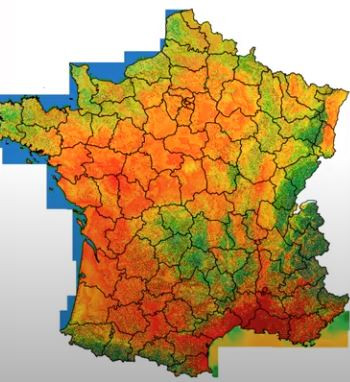 Carte de vigilance climatique du pin sylvestre au climat actuel