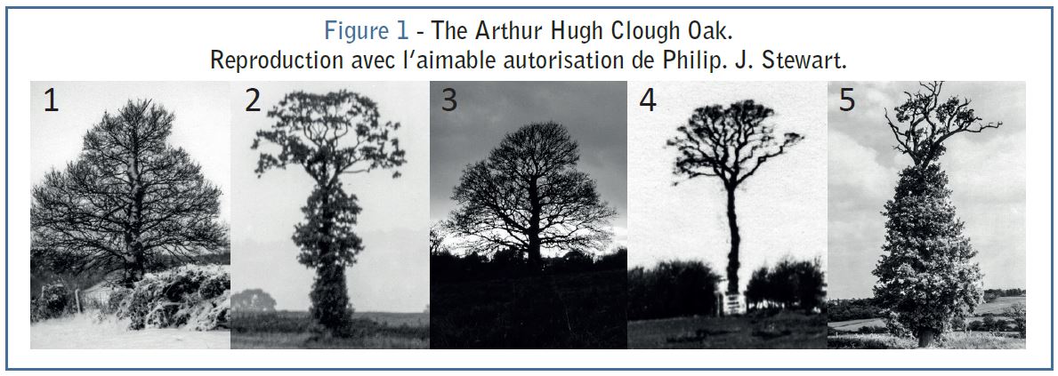 Quiz - L'histoire du chêne de Arthur Hugh Clough