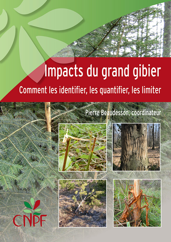 Impacts du grand gibier