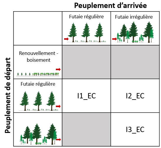 Itinéraires épicéa commun