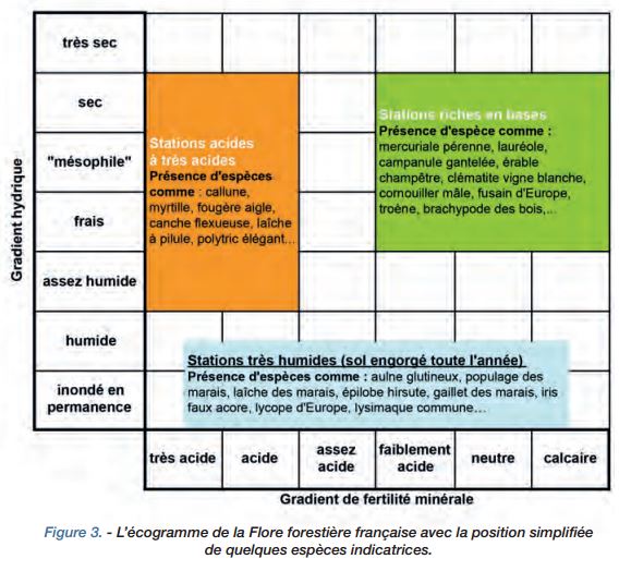 L’écogramme de la Flore forestière française avec la position de quelques espèces indicatrices