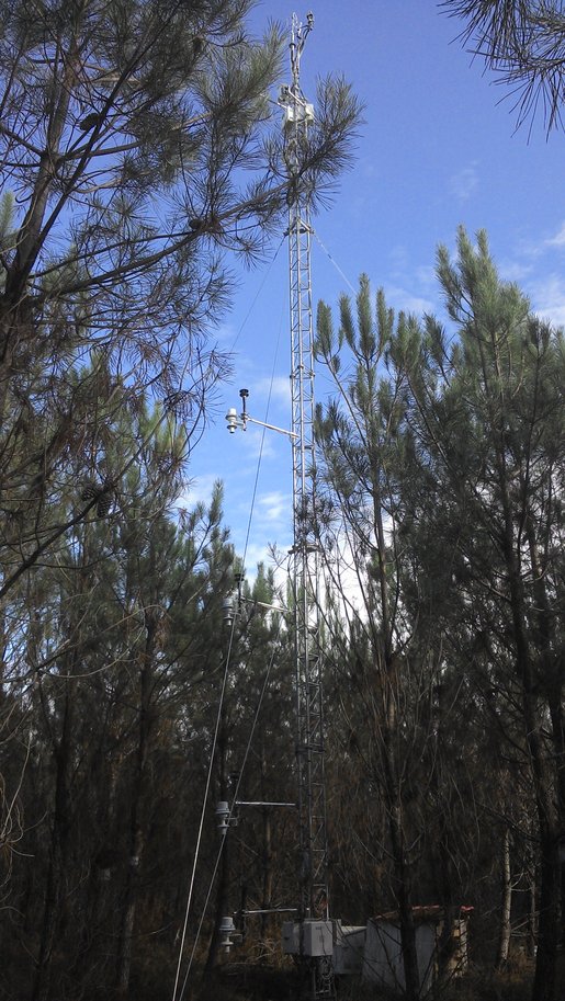 Mesures de flux de CO2 dans une forêt de Pin maritime (site ICOS de Salles en Gironde)