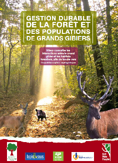 Gestion durable de la forêt et grand gibier