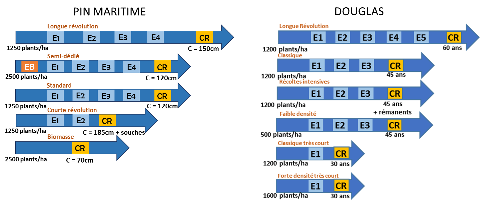 Représentation schématique des itinéraires techniques étudiés dans le cadre d’EVAFORA