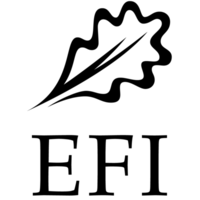 Logo EFI