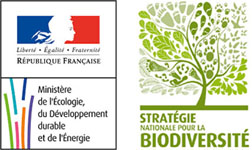 logos Ministère de l'écologie et Stratégie nationale pour la biodiversité