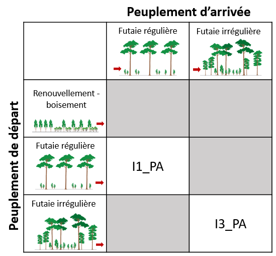 Itinéraires pin d'Alep