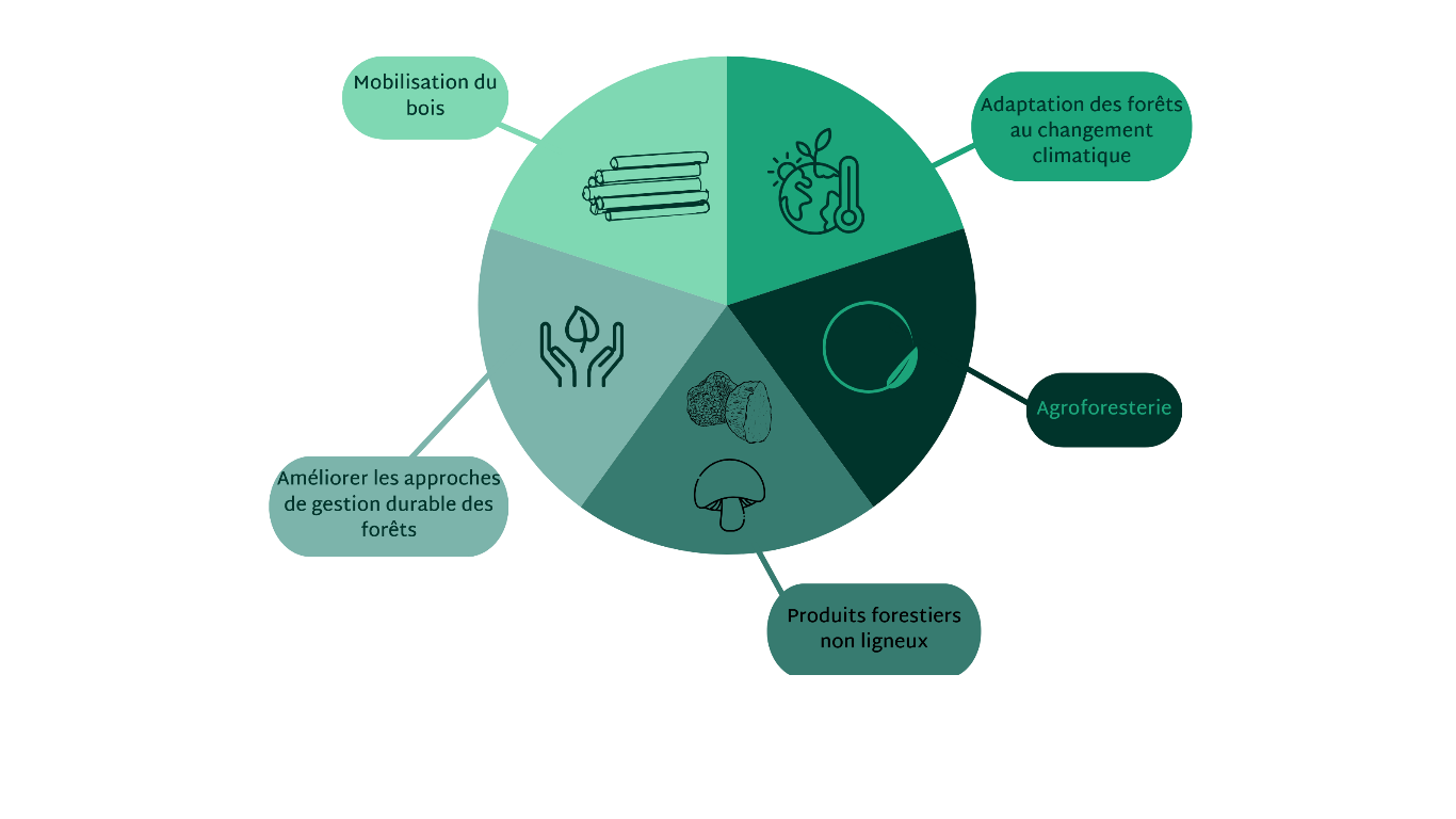 Les 5 pôles interrégionaux d'innovation (ITHubs) Forest4EU