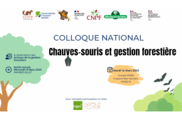Colloque national chauve-souris et gestion forestière