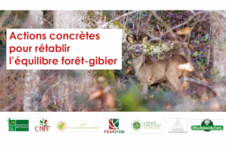 Webinaire 20 mars 2023 - Comment atteindre l'équilibre forêt-gibier ?