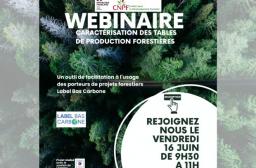 Webinaire - Caractérisation des tables de production forestières