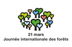 Journée internationale des forêts