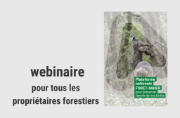 webinaire plateforme forêt-gibier