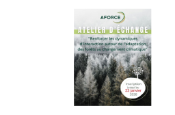 Atelier d’échange AFORCE