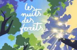 Les nuits des forêts