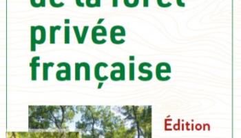 Les chiffres clés de la forêt privée