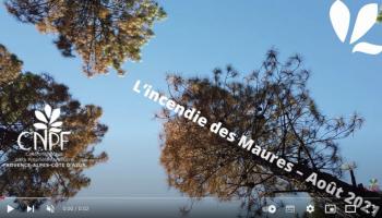 vidéo Incendie dans les Maures - Août 2021