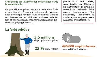 Stratégie 2022-2026 du CNPF