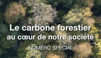 Forêt-entreprise n°245