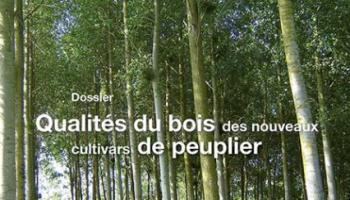 Forêt-entreprise n°213 couv