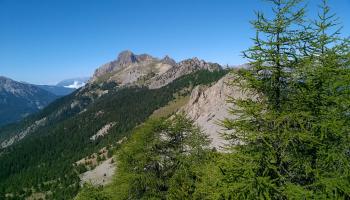 Paysage montagnard des Hautes-Alpes Alain Csakvary © CNPF