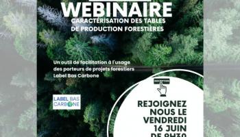 Webinaire - Caractérisation des tables de production forestières