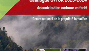 Catalogue C+FOR de la contribution carbone en forêt
