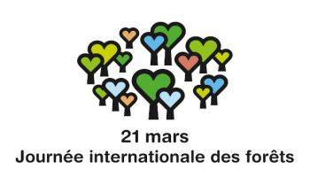 Journée internationale des forêts