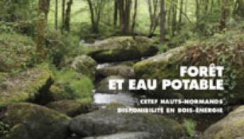 Forêt-entreprise n°193 couv